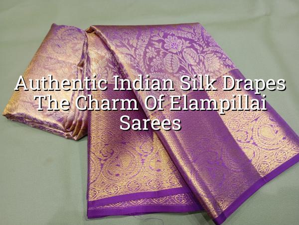 Authentic Indian Silk Drapes: The Charm of Elampillai Sarees
