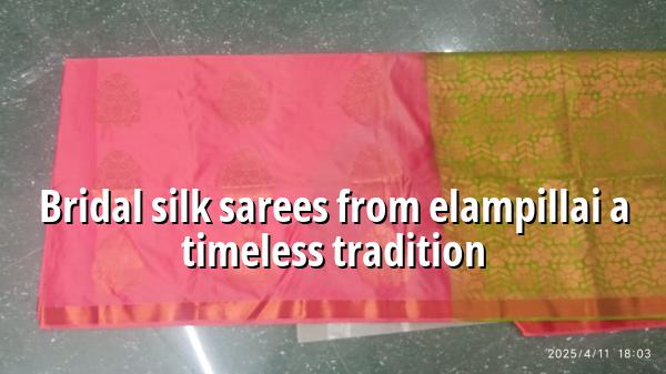 Bridal Silk Sarees from Elampillai: A Timeless Tradition