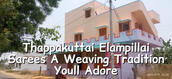 Thappakuttai Elampillai Sarees: A Weaving Tradition You’ll Adore